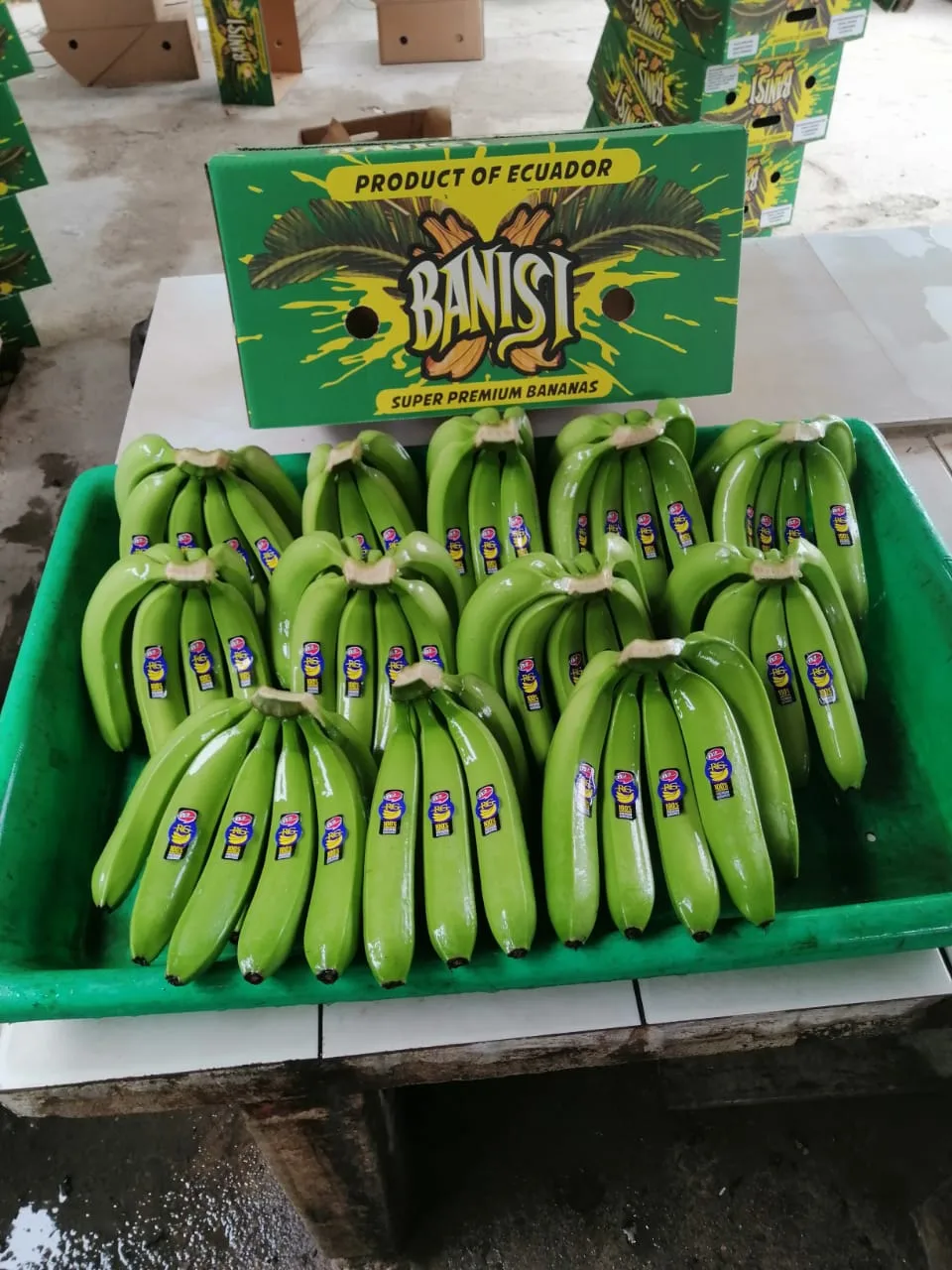 Cavendish Banana - Miniatura 2