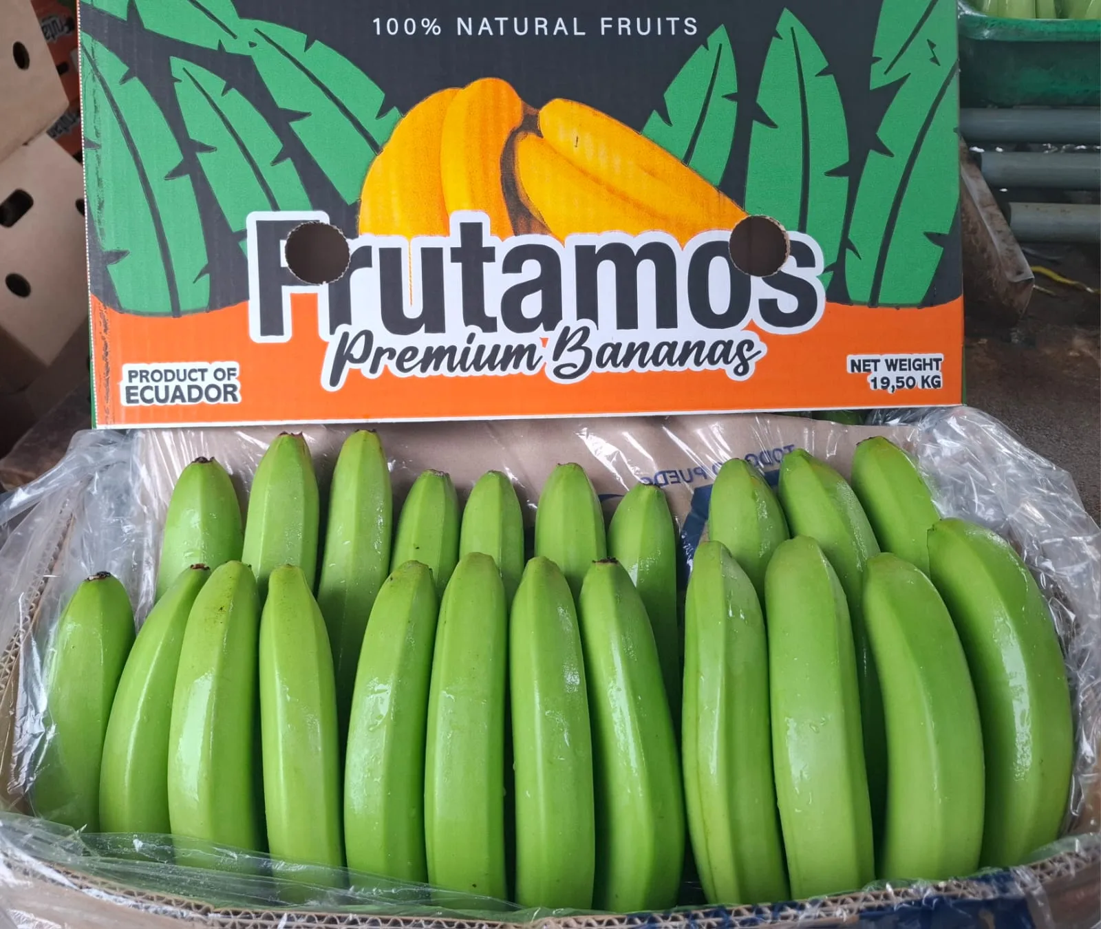 Premium Bananas