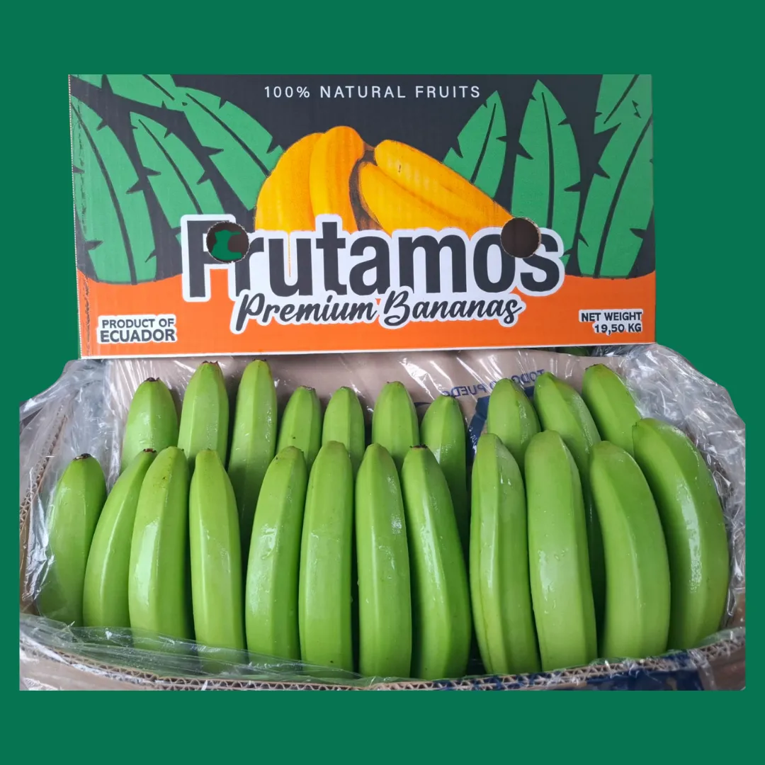 Cavendish Banana - Miniatura 9