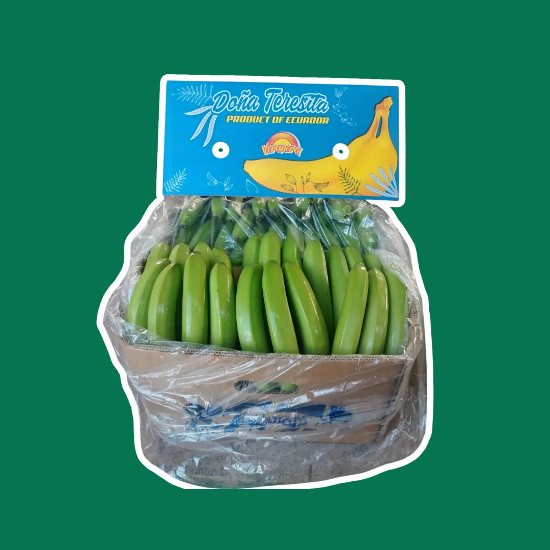 Cavendish Banana - Miniatura 12