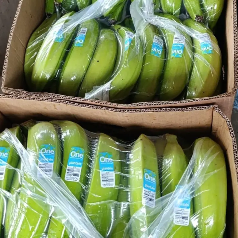 Ecuadorian Green Plantain - Barraganete - Miniatura 2