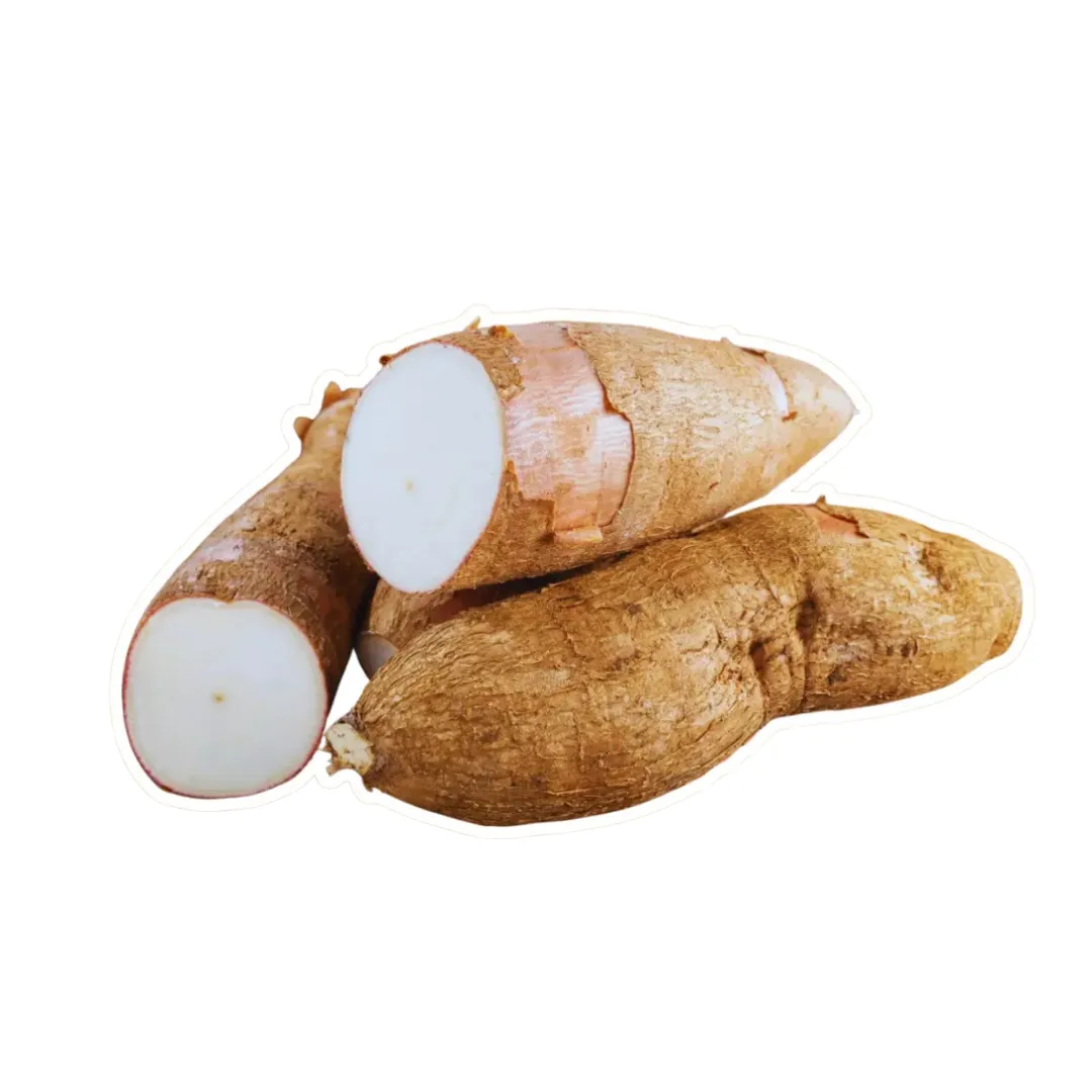 Cassava from Ecuador - Natural Energy from the Root - Imagen 1