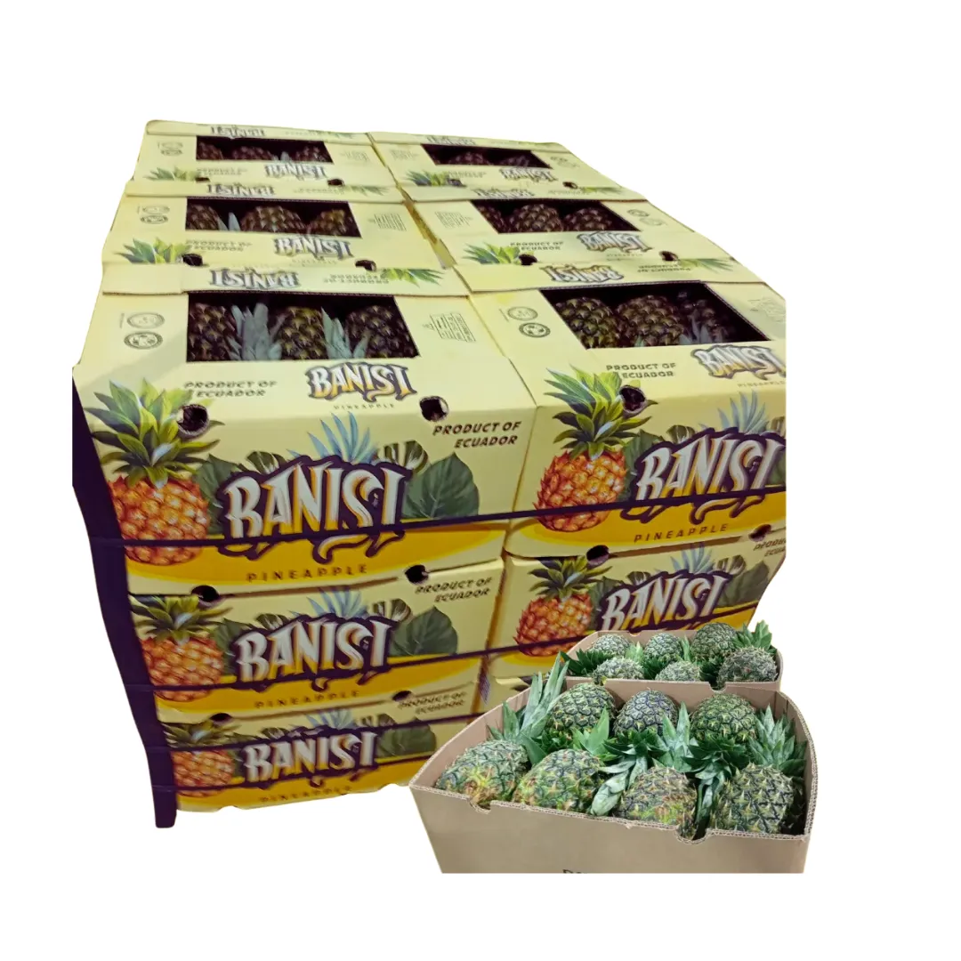 Ecuadorian Pineapple - Tropical Sweetness